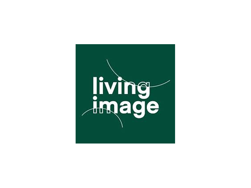 Living Image - Reflect filmfestival